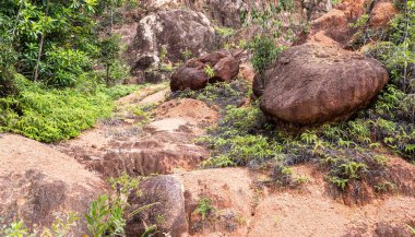 Ormandaki kahverengi kayalar tropik Malezya manzarası fotoğrafı.