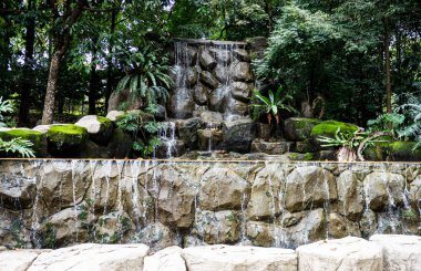 Güneydoğu Asya 'da, ormandaki tropik manzara, göl suyu nehri fotoğrafı.