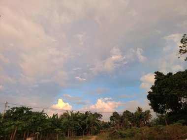 Bir yerleşim bölgesinde bir patika. Yol boyunca çitler ve arka planda yeşil ağaçlar var. Gökyüzü beyaz bulutlarla berrak.