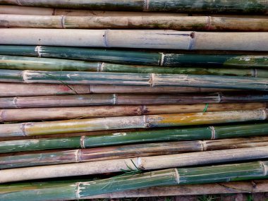 Bahçedeki bambu yığını