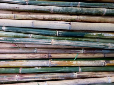 Bahçedeki bambu yığını