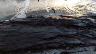 Large wooden tree trunks washed up on the beach in the crashing waves