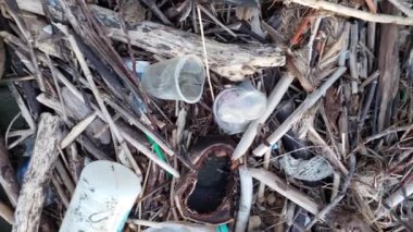 Salopi-Pinrang plajında odun atığı yığını, Makassar, Endonezya