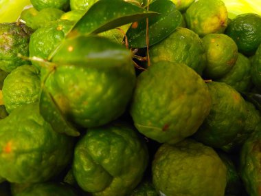 Kaffir kireci (Citrus hystrix). Bu narenciye meyvesinin pürüzlü, buruşuk, yeşil bir teni var ve Güneydoğu Asya mutfağında kendine özgü aroması ve tadı için sık sık kullanılır..