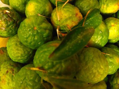 Kaffir kireci (Citrus hystrix). Bu narenciye meyvesinin pürüzlü, buruşuk, yeşil bir teni var ve Güneydoğu Asya mutfağında kendine özgü aroması ve tadı için sık sık kullanılır..