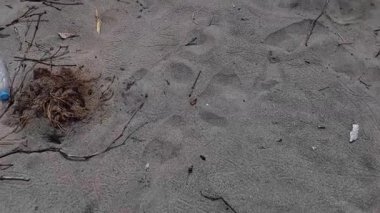 Kumun yüzeyinde biraz tahta, dal ve etrafa saçılmış diğer küçük enkaz parçaları var. Bu ilginç çünkü sahildeki doğal elementlerin dokusunu ve dokusunu algılıyor..