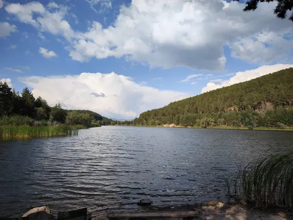 Ormandaki güzel göl.