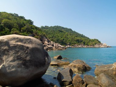 Koh Tao, Tayland 'da Turkuaz Suları ve Yeşillik Yeşilliği ile Çarpıcı Tropikal Plaj