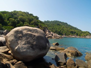 Koh Tao, Tayland 'da Turkuaz Suları ve Yeşillik Yeşilliği ile Çarpıcı Tropikal Plaj