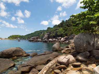 Koh Tao, Tayland 'da Turkuaz Suları ve Yeşillik Yeşilliği ile Çarpıcı Tropikal Plaj