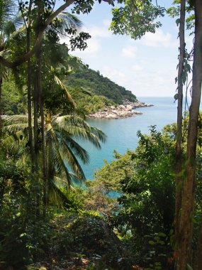 Tayland 'da Palm Trees ve Rocky Coastline ile Tropik Cennet Manzarası