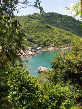 Tayland 'da Palm Trees ve Rocky Coastline ile Tropik Cennet Manzarası