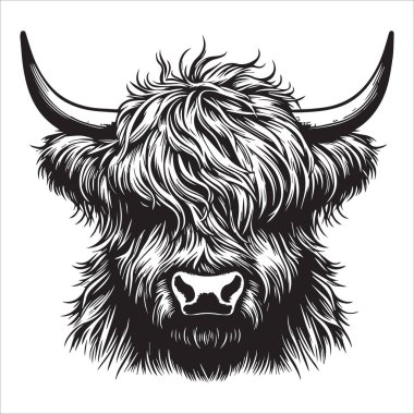 Shaggy Highland İnek Çizimi Tasarımı