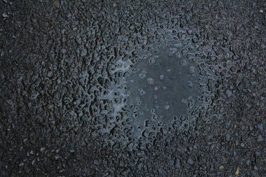 FABRİKA YOLUNDA SÜRÜLKLERİ