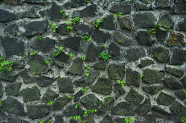 Doğa Taşından Duvarlar Yapıldı