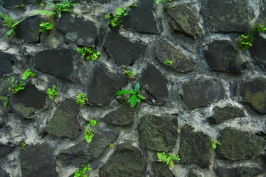 Doğa Taşından Duvarlar Yapıldı