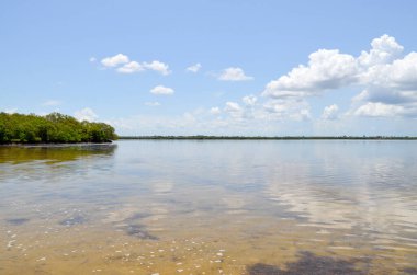 Ağaçlı göl, orman ve mavi gökyüzü