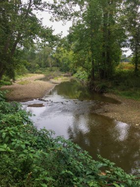 Parkta nehri olan güzel bir manzara.