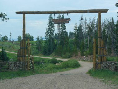 Yeşil çimenli tahta bir köprünün dikey görüntüsü.