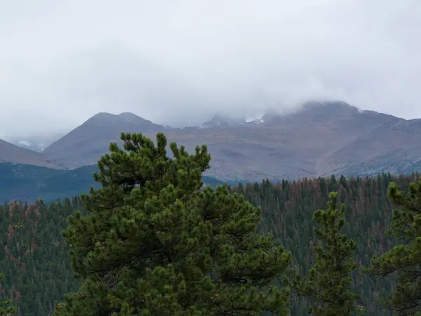 Colorado dağ tepelerinin güzel manzarası.