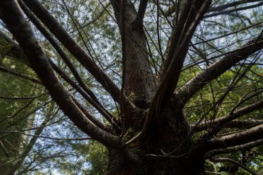Altıgen desenli beyaz metal ya da donuk gri bir arka planda kablo. Şablon bal peteğine benziyor ve geometrik bir görünüm veriyor. Bal peteği pürüzsüz
