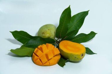 Beyaz arka planda yapraklı mango dilimleri ve yeşil mangolar.