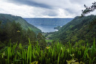 This is the photo spot of President Jokowi and Mrs. Iriana that went viral on social media. Surrounded by shady pine trees, The Kaldera Toba Nomadic Escape presents a natural and calming atmosphere located in Toba Regency, North Sumatra clipart