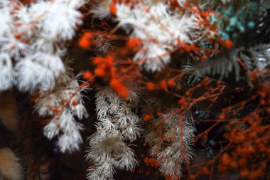 Renkli varyasyonlarla kurumuş çiçek düzenlemeleri, beyaz, turuncu, mor, kahverengi ve yeşil çiçekler