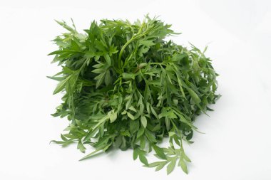 Cosmos caudatus yapraklarına Endonezya 'da daun kenikir denir. Genellikle salata gibi çiğ yenirler..