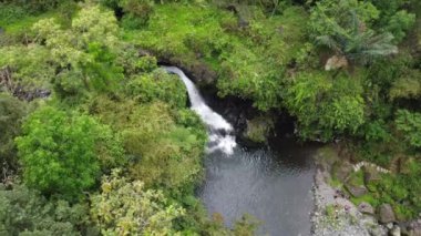 Banyumas Regency, Central Java, Endonezya 'daki Tebela Waterfall' un insansız hava aracı görüntüsü. 18 Kasım 2024 'te bir profesyonel tarafından çekilmiştir. Güzel manzaralı harika bir şelale.
