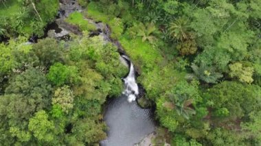 Banyumas Regency, Central Java, Endonezya 'daki Tebela Waterfall' un insansız hava aracı görüntüsü. 18 Kasım 2024 'te bir profesyonel tarafından çekilmiştir. Güzel manzaralı harika bir şelale.