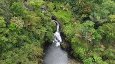 Banyumas Regency, Central Java, Endonezya 'daki Tebela Waterfall' un insansız hava aracı görüntüsü. 18 Kasım 2024 'te bir profesyonel tarafından çekilmiştir. Güzel manzaralı harika bir şelale.
