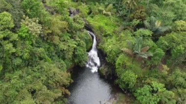 Banyumas Regency, Central Java, Endonezya 'daki Tebela Waterfall' un insansız hava aracı görüntüsü. 18 Kasım 2024 'te bir profesyonel tarafından çekilmiştir. Güzel manzaralı harika bir şelale.