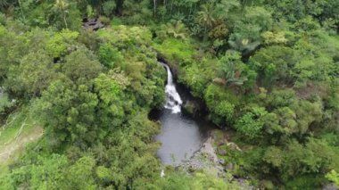 Banyumas Regency, Central Java, Endonezya 'daki Tebela Waterfall' un insansız hava aracı görüntüsü. 18 Kasım 2024 'te bir profesyonel tarafından çekilmiştir. Güzel manzaralı harika bir şelale.