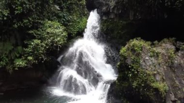 Banyumas Regency, Central Java, Endonezya 'daki Tebela Şelalesi' nin güzelliği. 18 Kasım 2024 'te bir profesyonel tarafından çekilmiştir. Güzel manzaralı harika bir şelale.