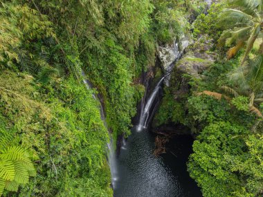 Banyumas Regency, Central Java, Endonezya 'daki Tebela Waterfall' un insansız hava aracı görüntüsü. 18 Kasım 2024 'te bir profesyonel tarafından çekilmiştir. Güzel manzaralı harika bir şelale.