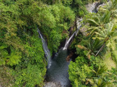 The drone view of Tebela Waterfall in Banyumas Regency, Central Java, Indonesia. It was taken on November 18, 2024 by a professional. It's a wonderful waterfall with a nice view clipart