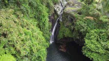 Banyumas Regency, Central Java, Endonezya 'daki Tebela Waterfall' un insansız hava aracı görüntüsü. 18 Kasım 2024 'te bir profesyonel tarafından çekilmiştir. Güzel manzaralı harika bir şelale.
