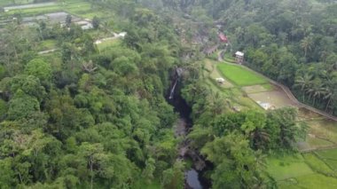 Banyumas Regency, Central Java, Endonezya 'daki Tebela Waterfall' un insansız hava aracı görüntüsü. 18 Kasım 2024 'te bir profesyonel tarafından çekilmiştir. Güzel manzaralı harika bir şelale.