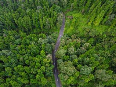 Banyumas Regency, Central Java, Endonezya 'daki Baturaden Peyzajı' nın güzelliği. 2 Aralık 2024 'te bir profesyonel tarafından çekilmiştir. Güzel manzaralı harika bir manzara.