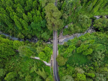 The beauty of Baturaden Landscape in Banyumas Regency, Central Java, indonesia. It was taken on December 2, 2024 by a professional. It's a wonderful landscape with a nice view clipart