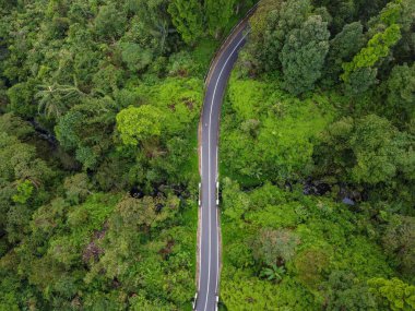 Banyumas Regency, Central Java, Endonezya 'daki Baturaden Peyzajı' nın güzelliği. 2 Aralık 2024 'te bir profesyonel tarafından çekilmiştir. Güzel manzaralı harika bir manzara.