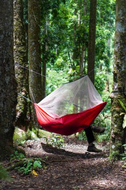 Banyumas Regency, Central Java, Endonezya 'daki Baturaden Peyzajı' nın güzelliği. 2 Aralık 2024 'te bir profesyonel tarafından çekilmiştir. Güzel manzaralı harika bir manzara.