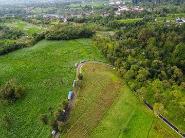 Banyumas Regency, Central Java, Endonezya 'daki Baturaden manzarasının insansız hava aracı görüntüsü. 8 Ocak 2025 'te bir profesyonel tarafından çekilmiştir. Güzel manzaralı harika bir manzara.