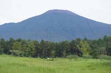 The beauty of Baturaden landscape in Banyumas Regency, Central Java, indonesia. It was taken on January 08, 2025 by a professional. It's a wonderful landscape with a nice view clipart