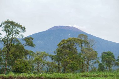 Banyumas Regency, Central Java, Endonezya 'daki Baturaden manzarasının güzelliği. 8 Ocak 2025 'te bir profesyonel tarafından çekilmiştir. Güzel manzaralı harika bir manzara.