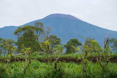 Banyumas Regency, Central Java, Endonezya 'daki Baturaden manzarasının güzelliği. 8 Ocak 2025 'te bir profesyonel tarafından çekilmiştir. Güzel manzaralı harika bir manzara.