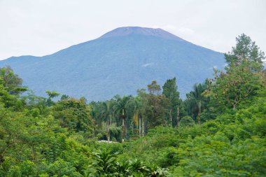 Banyumas Regency, Central Java, Endonezya 'daki Baturaden manzarasının güzelliği. 8 Ocak 2025 'te bir profesyonel tarafından çekilmiştir. Güzel manzaralı harika bir manzara.