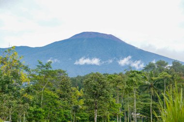 Banyumas Regency, Central Java, Endonezya 'daki Baturaden manzarasının güzelliği. 8 Ocak 2025 'te bir profesyonel tarafından çekilmiştir. Güzel manzaralı harika bir manzara.
