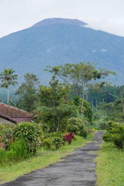 Banyumas Regency, Central Java, Endonezya 'daki Baturaden manzarasının güzelliği. 8 Ocak 2025 'te bir profesyonel tarafından çekilmiştir. Güzel manzaralı harika bir manzara.